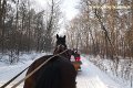 2010-01-26_[15]_Kulig.jpg